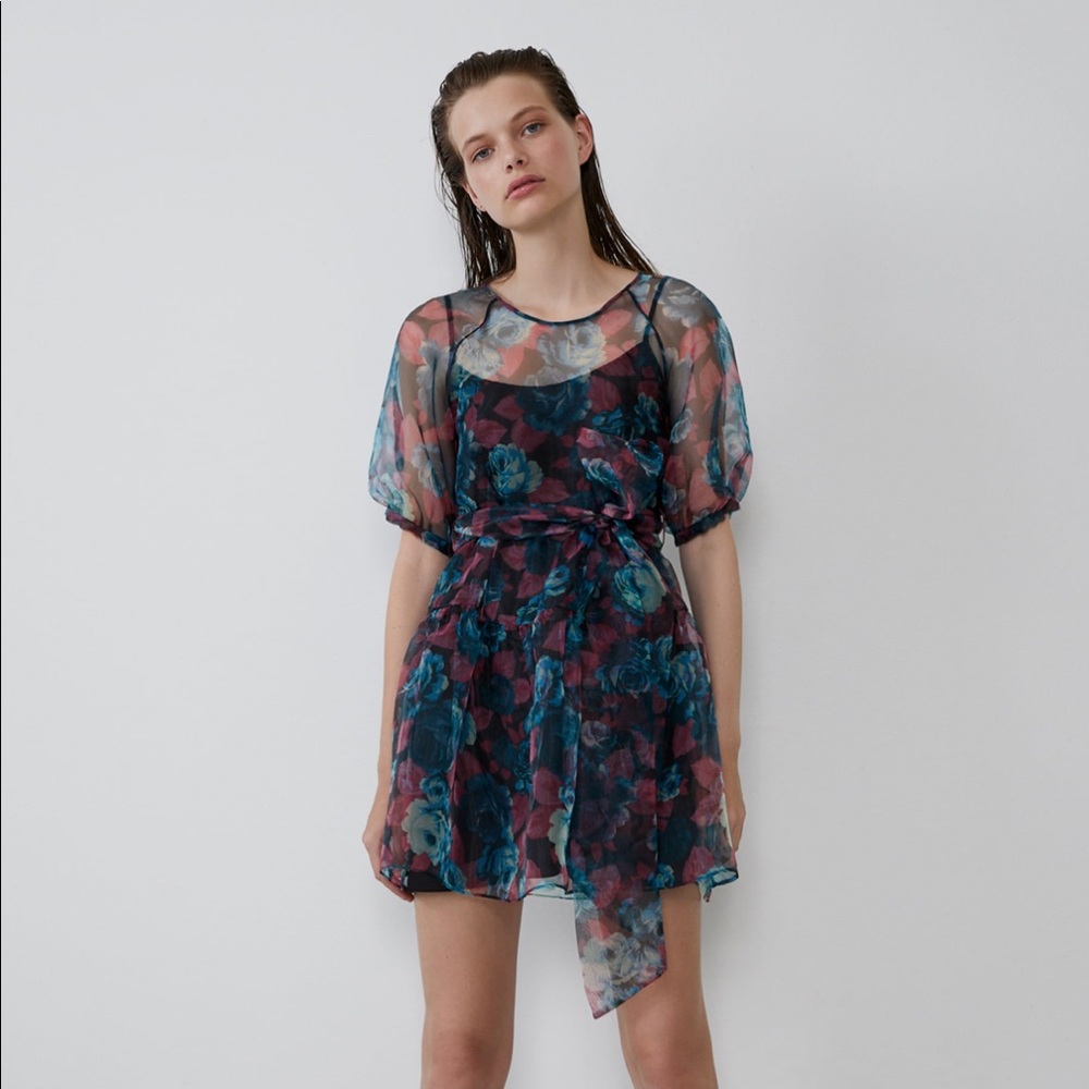 Zara organza voluminous dress